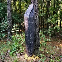 Moultrie 100 lb Capacity Bag Feeder