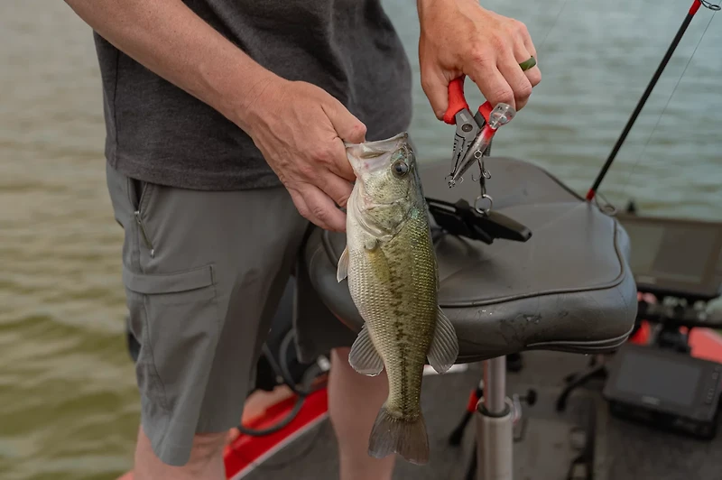 Bubba 6 in Forged Stainless Steel Fishing Pliers