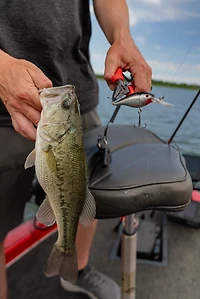 Bubba 6 in Forged Stainless Steel Fishing Pliers