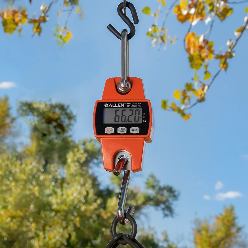 Allen Company Digital Game Scale