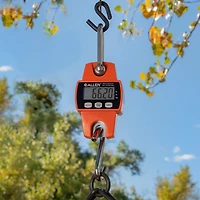 Allen Company Digital Game Scale