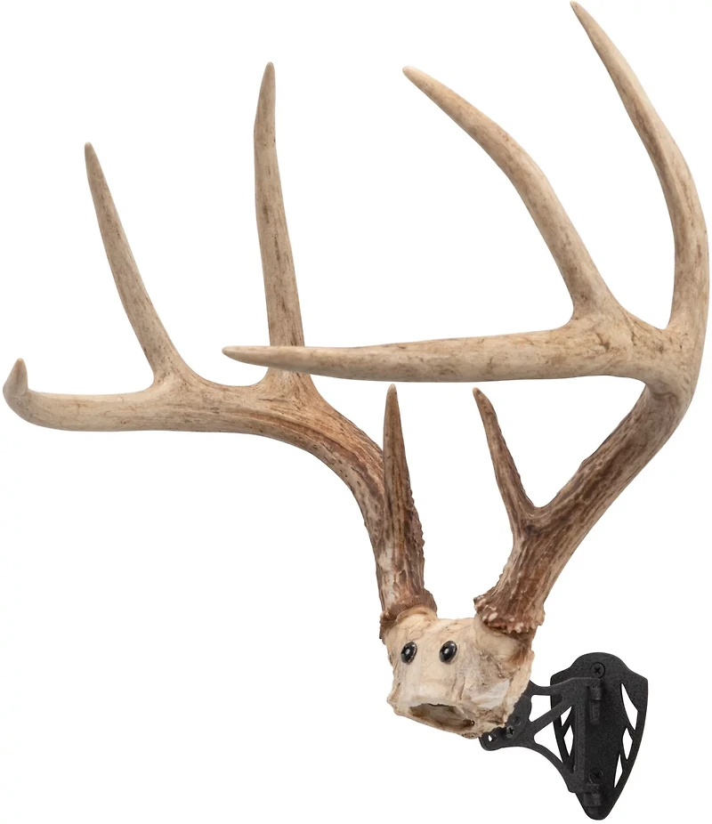 Allen Company EZ Mount Horn Bracket