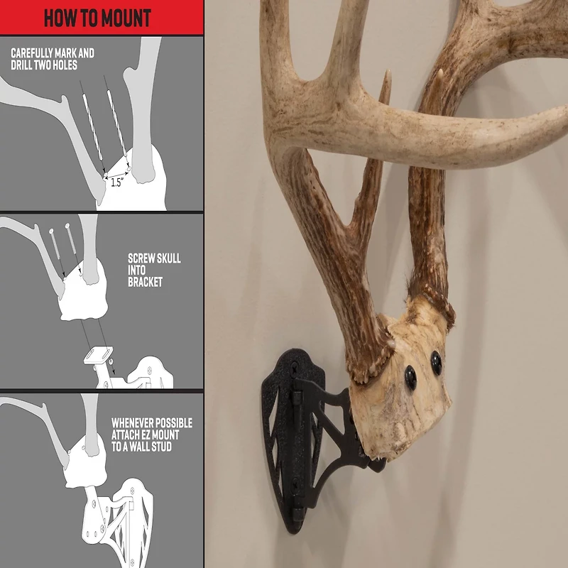 Allen Company EZ Mount Horn Bracket