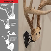 Allen Company EZ Mount Horn Bracket