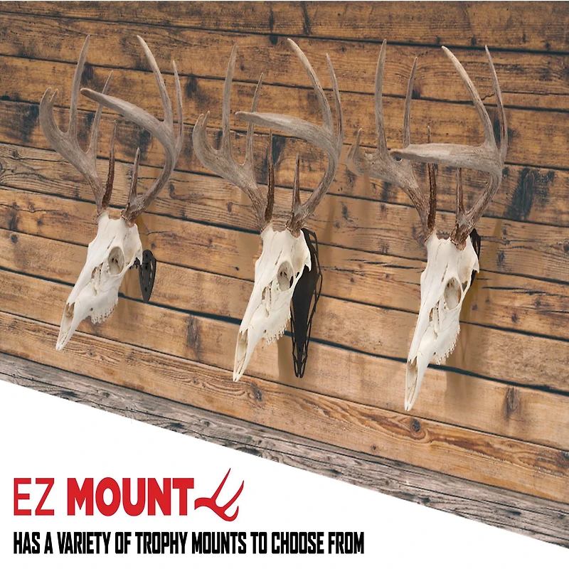 Allen Company EZ Mount Horn Bracket