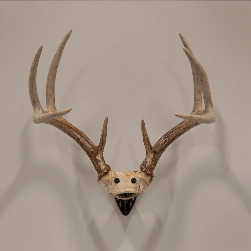 Allen Company EZ Mount Horn Bracket