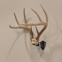 Allen Company EZ Mount Horn Bracket