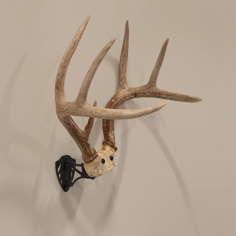 Allen Company EZ Mount Horn Bracket