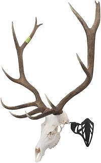 Allen Company EZ Mount Magnum Skull Hanger