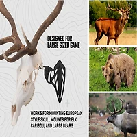 Allen Company EZ Mount Magnum Skull Hanger