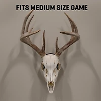 Allen Company EZ Mount Silhouette Skull Peg