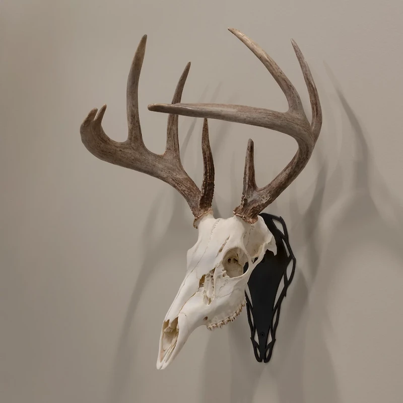 Allen Company EZ Mount Silhouette Skull Peg