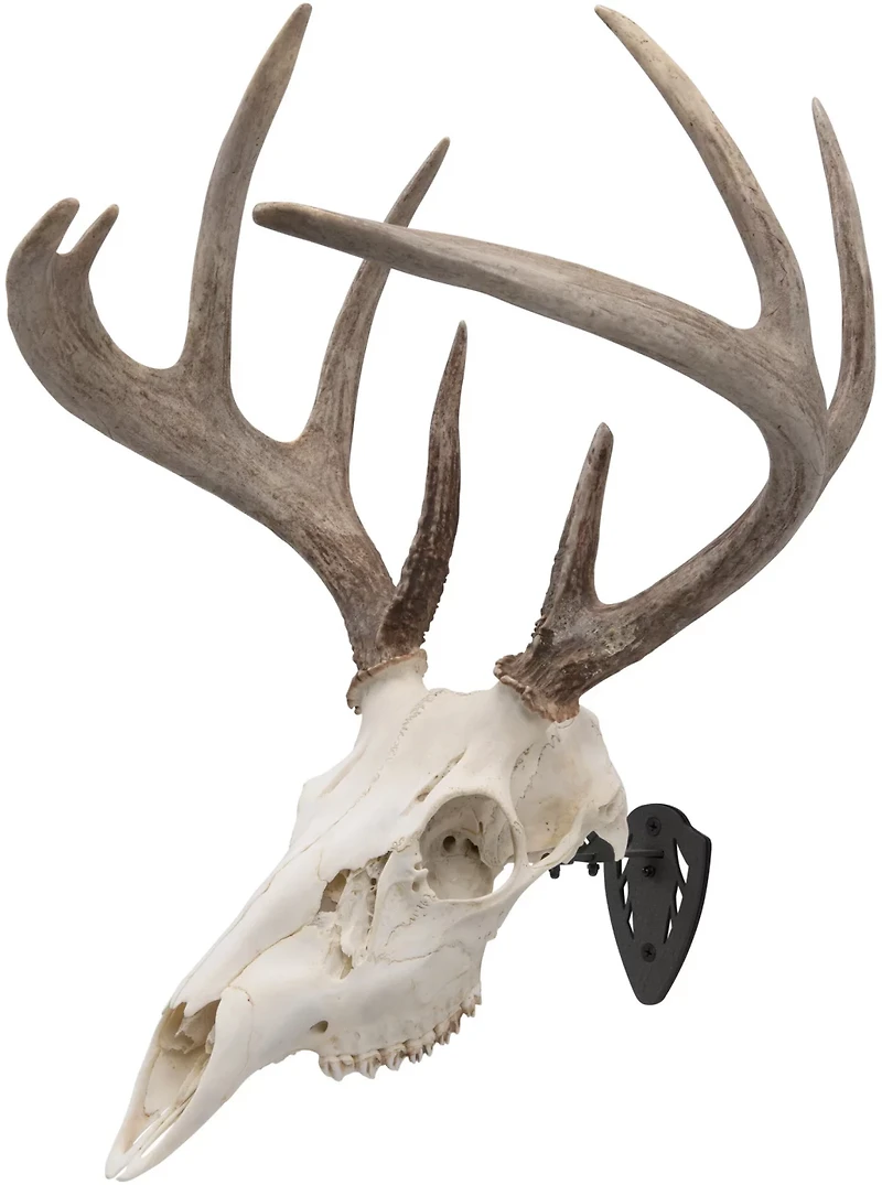 Allen Company EZ Mount Fixed Skull Hanger