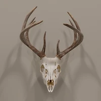 Allen Company EZ Mount Fixed Skull Hanger
