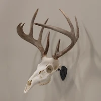 Allen Company EZ Mount Fixed Skull Hanger