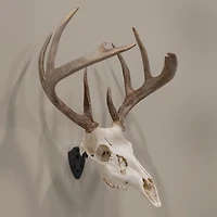 Allen Company EZ Mount Fixed Skull Hanger