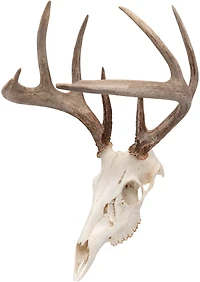 Allen Company EZ Mount Skull Peg Hook