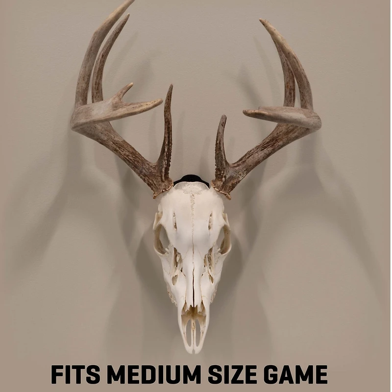 Allen Company EZ Mount Skull Peg Hook