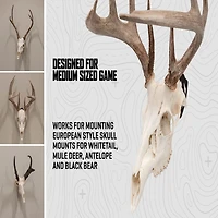 Allen Company EZ Mount Skull Peg Hook