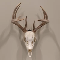 Allen Company EZ Mount Skull Peg Hook
