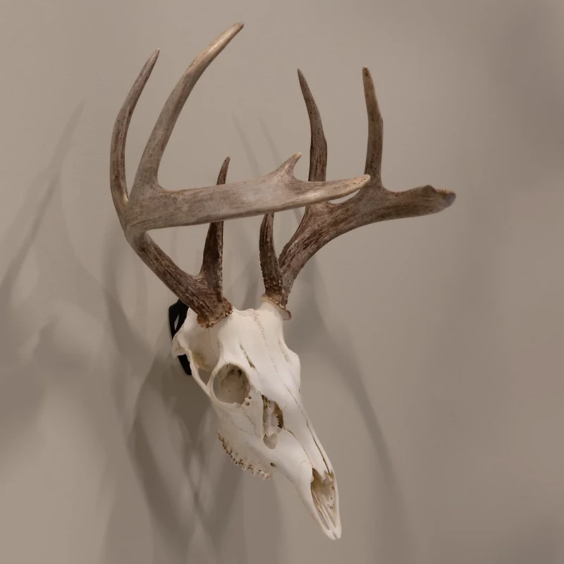 Allen Company EZ Mount Skull Peg Hook