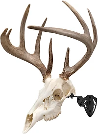 Allen Company EZ Mount Trophy Skull Hanger