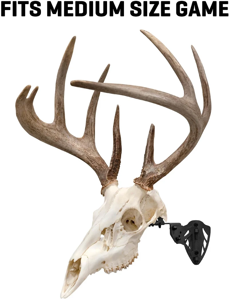 Allen Company EZ Mount Trophy Skull Hanger