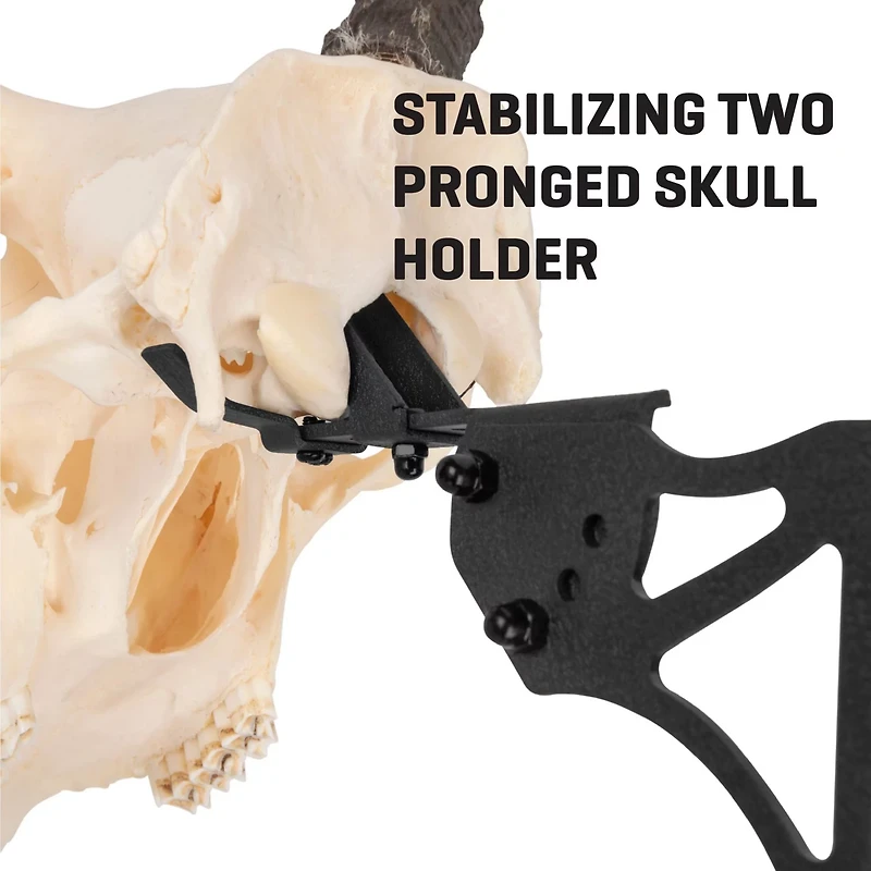 Allen Company EZ Mount Trophy Skull Hanger