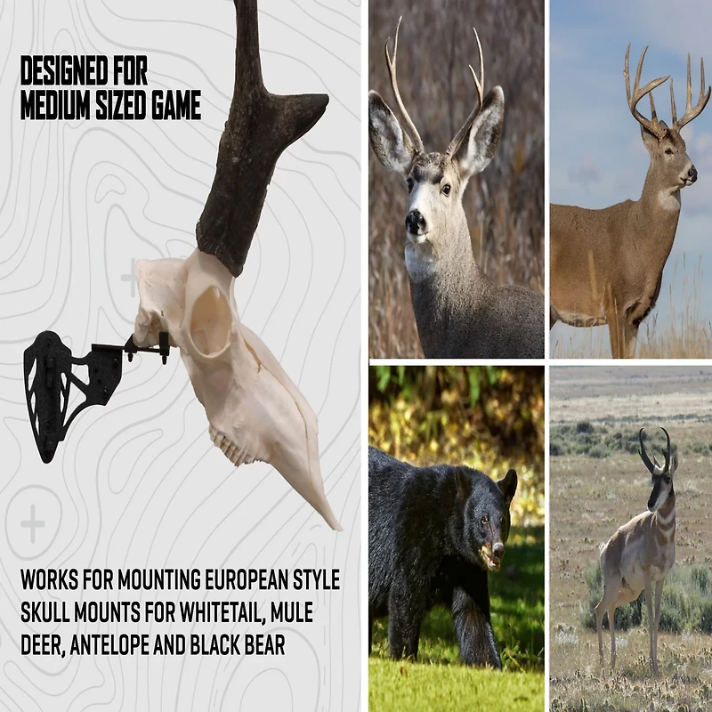 Allen Company EZ Mount Trophy Skull Hanger