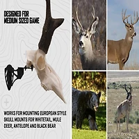 Allen Company EZ Mount Trophy Skull Hanger