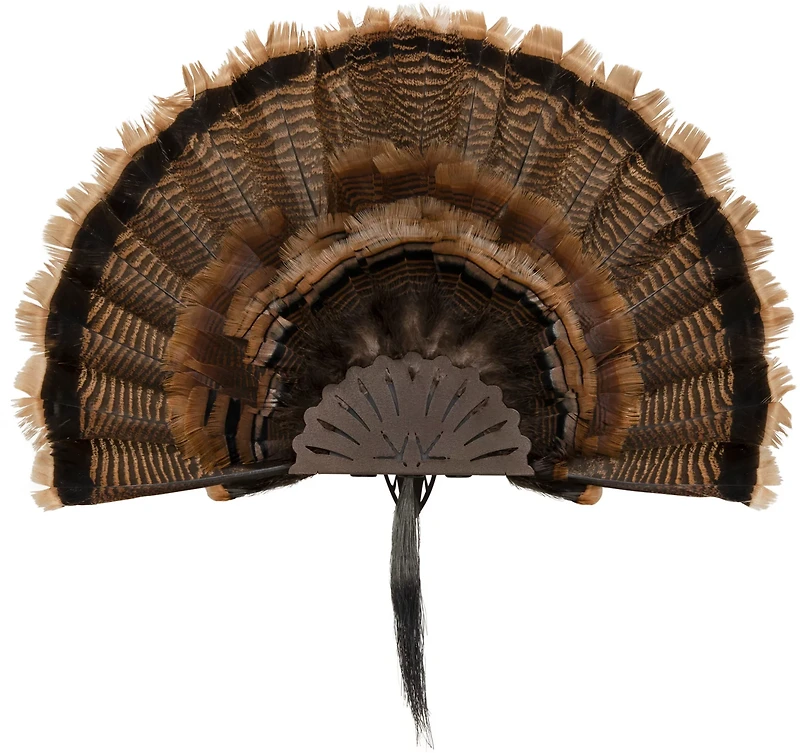 Allen Company EZ Mount Turkey Fan Display