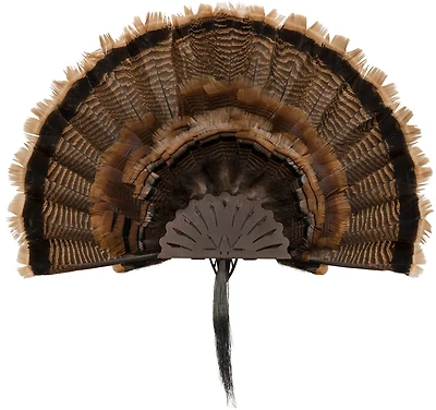 Allen Company EZ Mount Turkey Fan Display