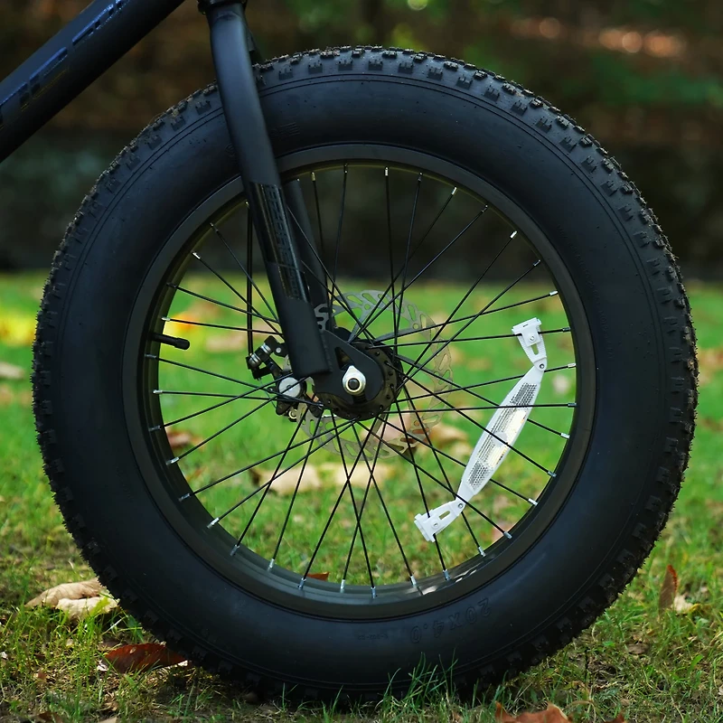 Ozone 500 Boys' Challenger Fat Tire 20" 7-Speed Bike