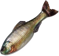 6th Sense Panorama 2 Soft Baits 8-Pack