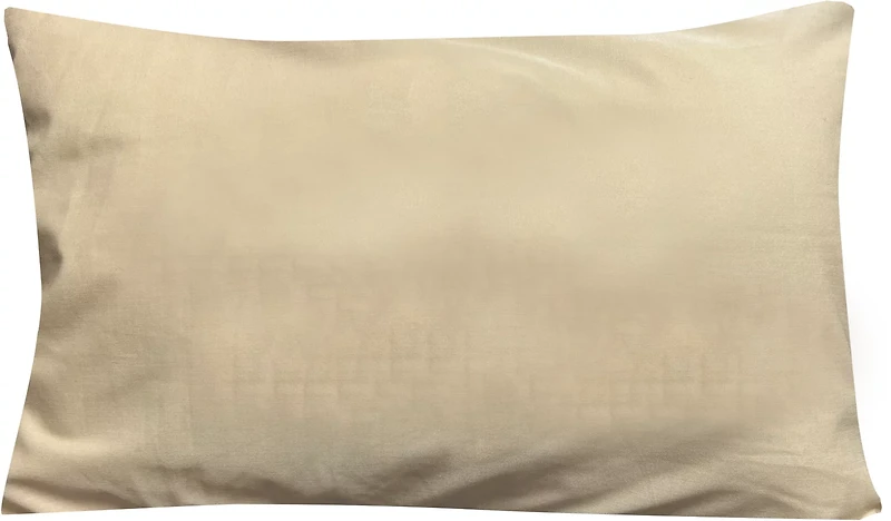 Disc-O-Bed Pillow