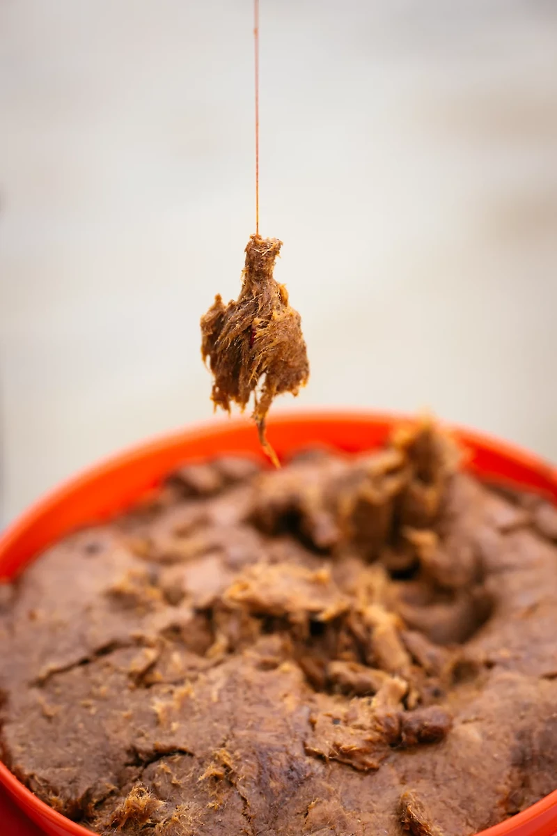 Whisker Seeker Blood 16 oz Punch Bait