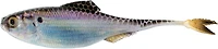 6th Sense Fiction Shad 3.4 in. Unrigged Plastic Swim Bait 5-Pack