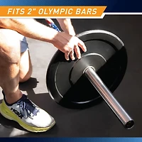 Impex Steelbody 45 lb. Bumper Plate