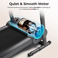 Sunny Health & Fitness Compact Treadmill