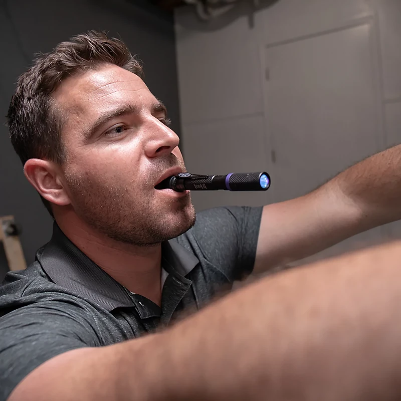 Police Security 395nm UV Penlight