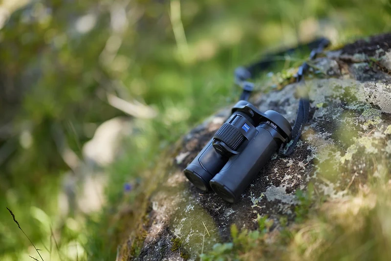 Zeiss SFL 8 x 30 mm Binoculars