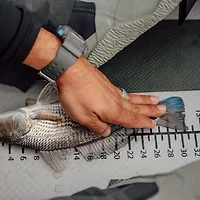 Wilderness Systems iATAK 110 Inflatable 132 in Drop-Stitch Fishing Kayak