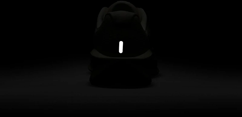 Nike Women's Downshifter 13 Shoes