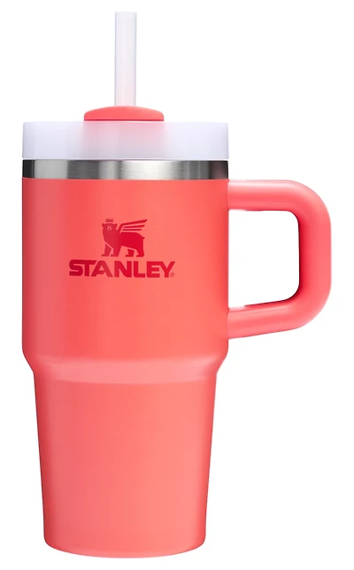 Stanley 20oz Adventure Quencher H2.0 FlowState Tumbler