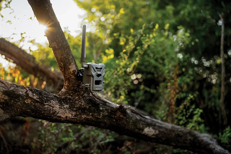 SpyPoint Flex G36 36.0 MP Cellular Game Cameras 2-Pack