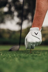 Callaway Men's Tour Authentic Glove