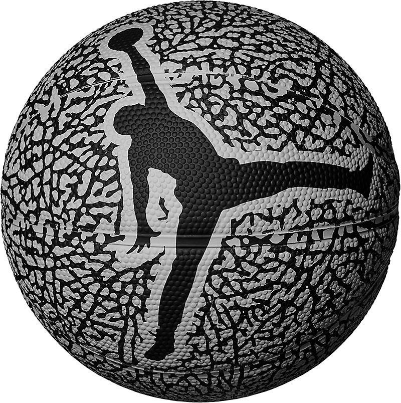 Jordan Skills 2.0 Graphic Basketball