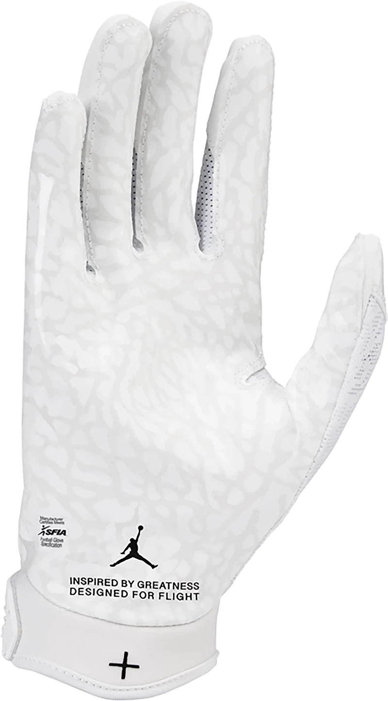 Jordan Fly Lock Football Gloves