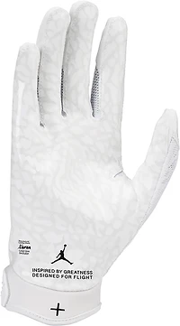 Jordan Fly Lock Football Gloves