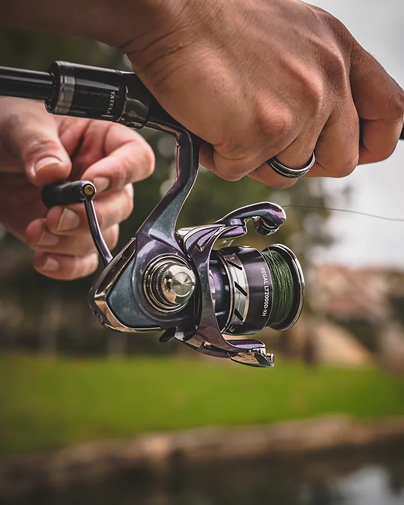 Daiwa Regal LT Spinning Reel